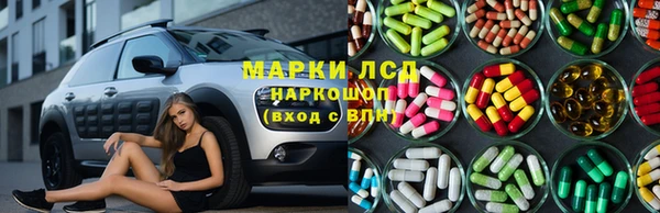 молекула духа Арсеньев