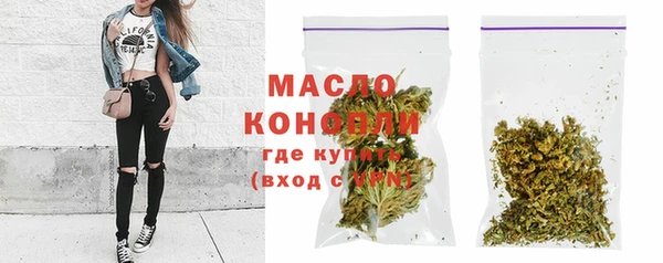 молекула духа Арсеньев
