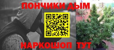 гидра Славгород