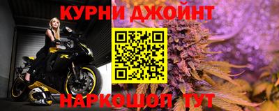 гидра Славгород