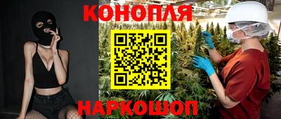 гидра Славгород