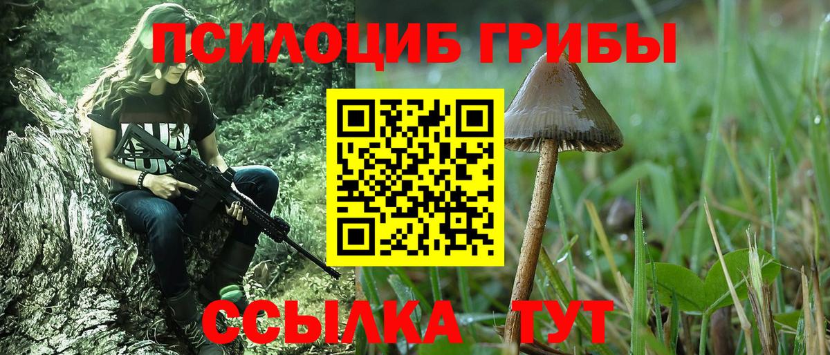 Галлюциногенные грибы мухоморы  где можно купить наркотик  Полевской  Галлюциногенные грибы Magic Shrooms  Вход с VPN 