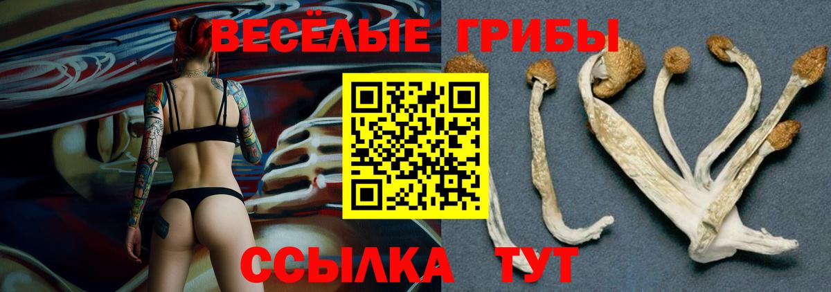 Псилоцибиновые грибы MAGIC MUSHROOMS Полевской